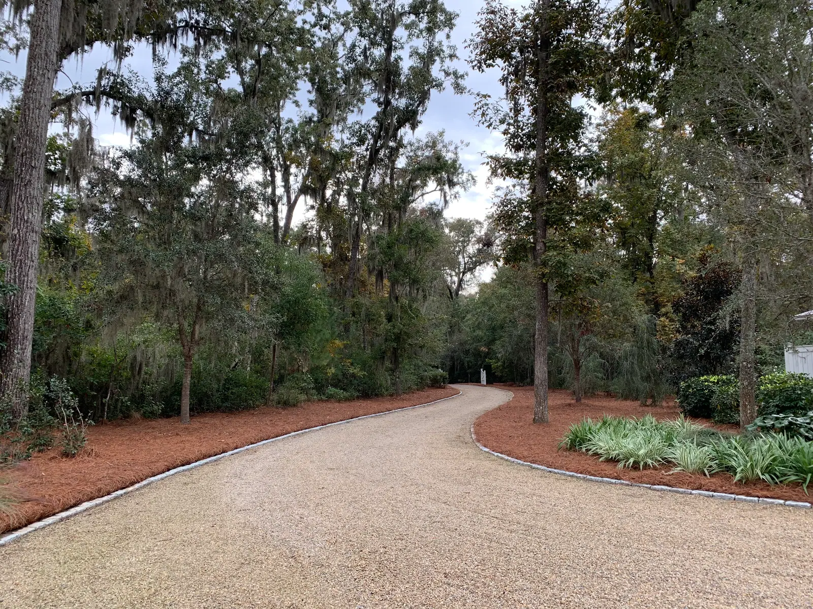 Longleaf pinestraw beds lining a long driveway